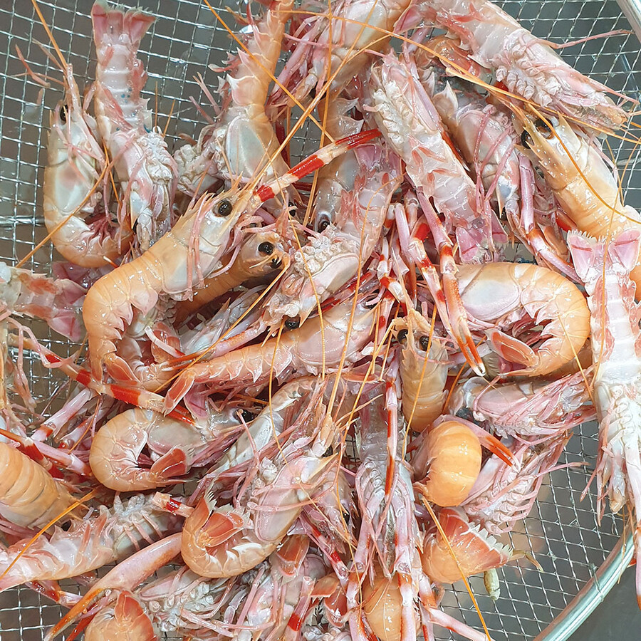 [네이버] 소주한잔에 제주딱새우 회 한점 14,800 (무료배송)_3.jpg