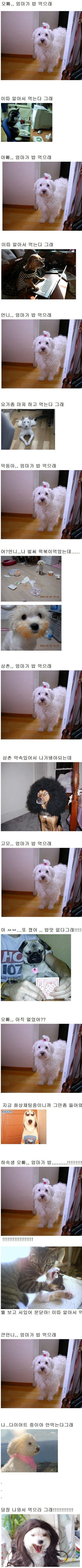오빠 엄마가 밥 먹으래.jpg_1.jpg