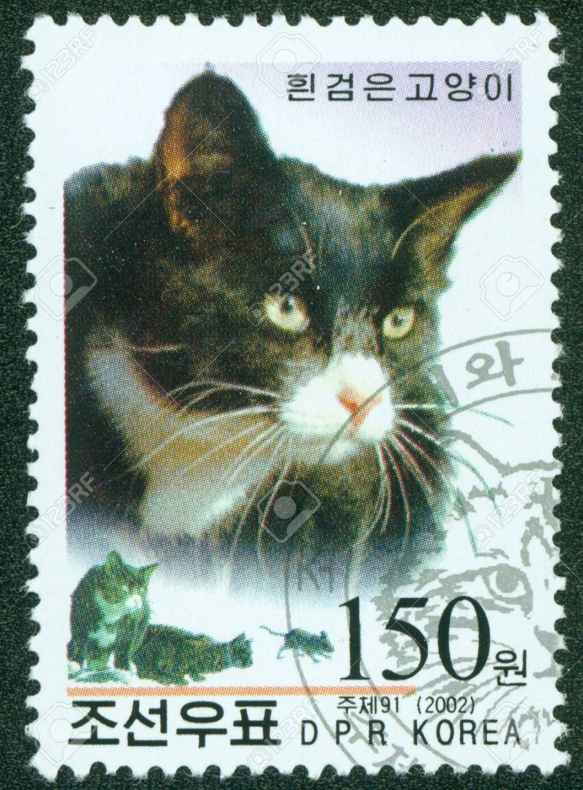 스압) 님들 "북한 고양이 우표" 본적 있어??ㅋㅋ_6.jpeg
