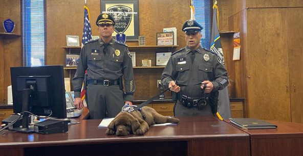 [극혐] 타가메 겐고로 스타일로 그린 동탁 미시룩.jpg_23.png