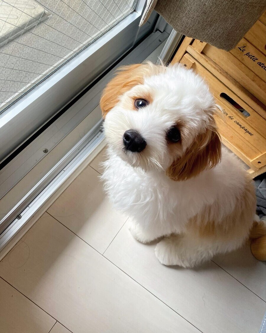 [극혐] 타가메 겐고로 스타일로 그린 동탁 미시룩.jpg_17.jpeg