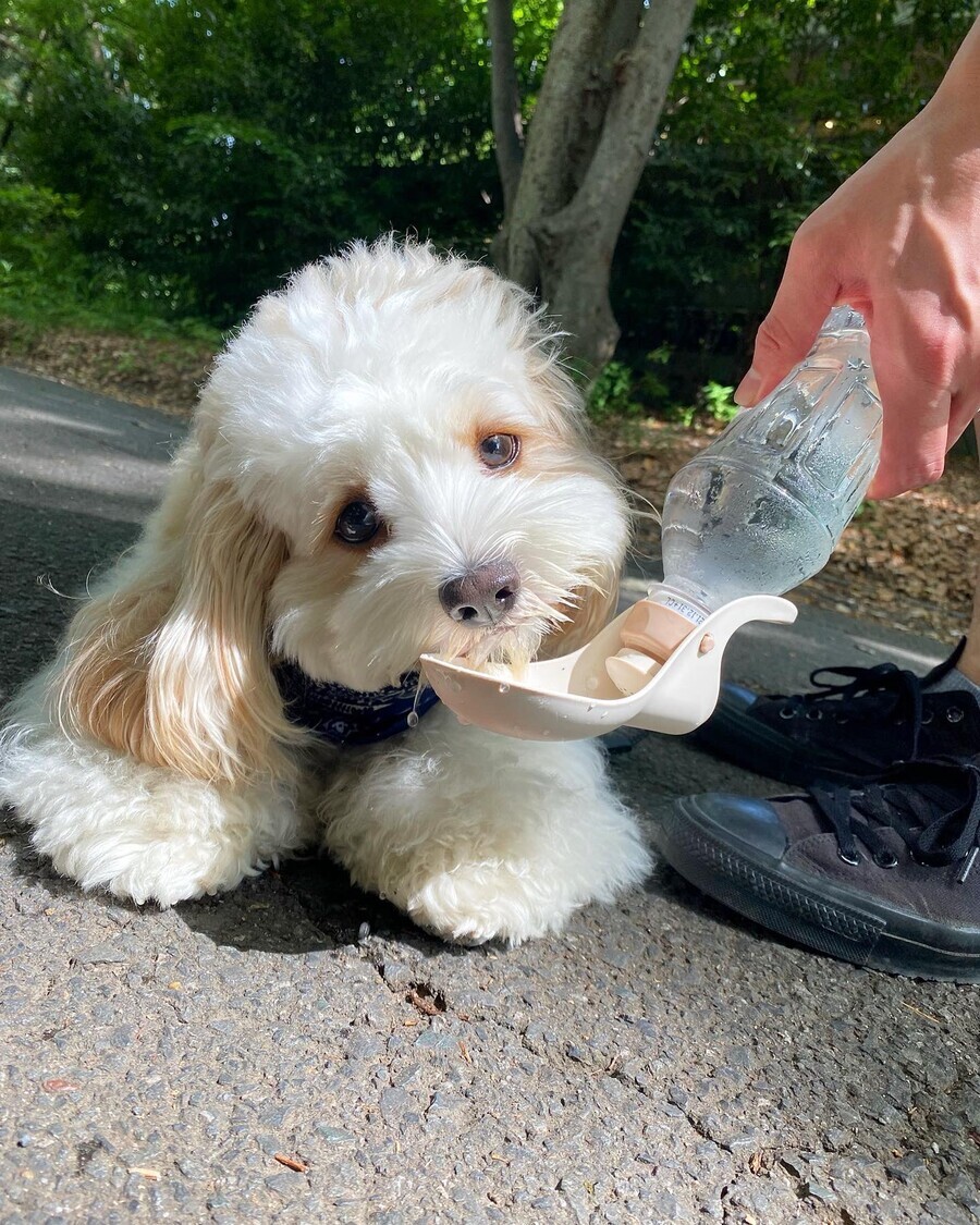 [극혐] 타가메 겐고로 스타일로 그린 동탁 미시룩.jpg_16.jpg