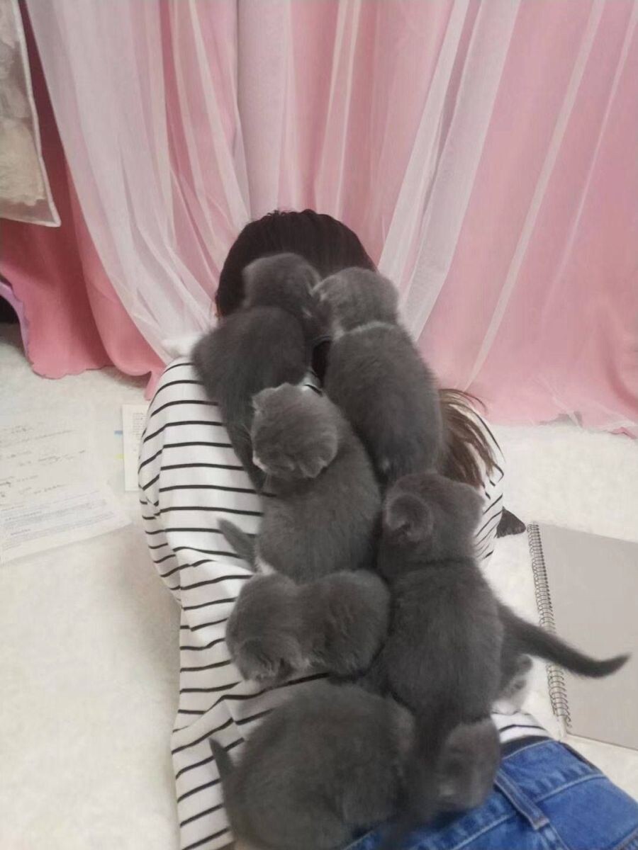 [극혐] 타가메 겐고로 스타일로 그린 동탁 미시룩.jpg_7.jpeg