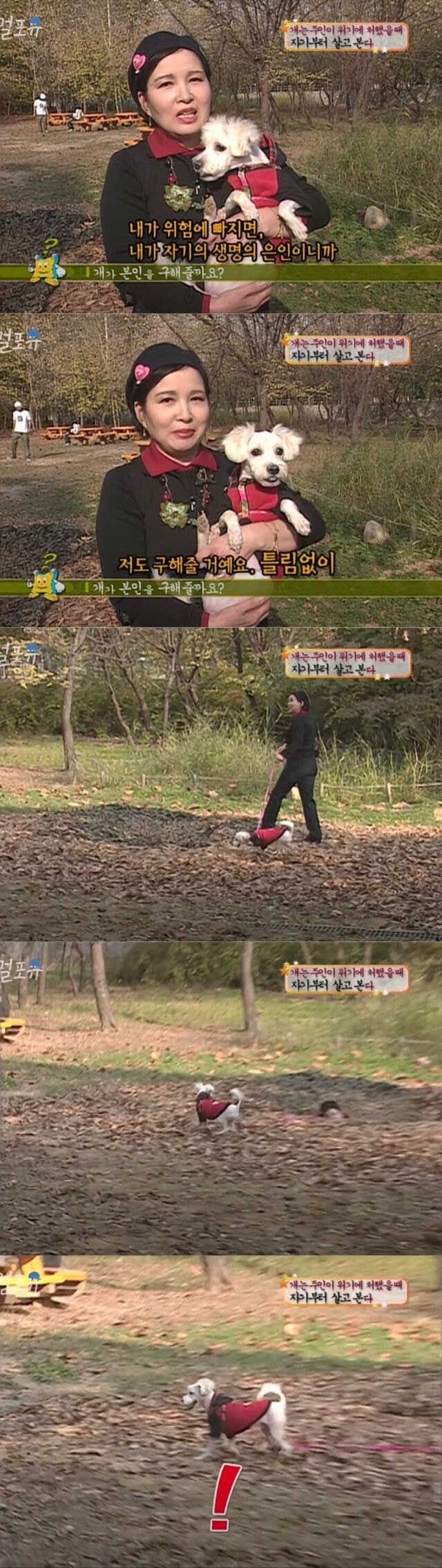 댕댕이의 의리.jpg_1.jpg