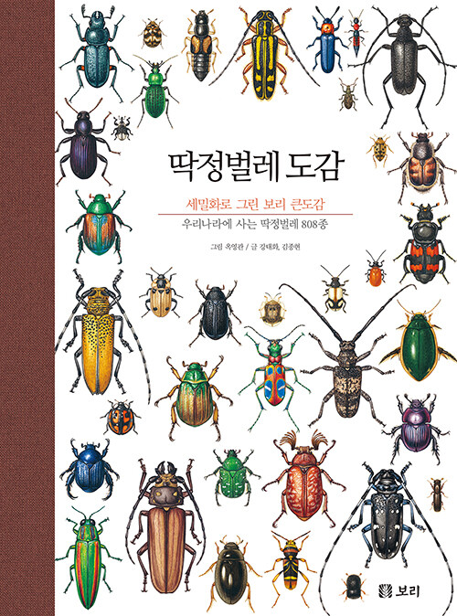 스튜디오두릅 이미지