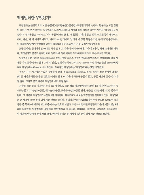 스튜디오두릅 이미지