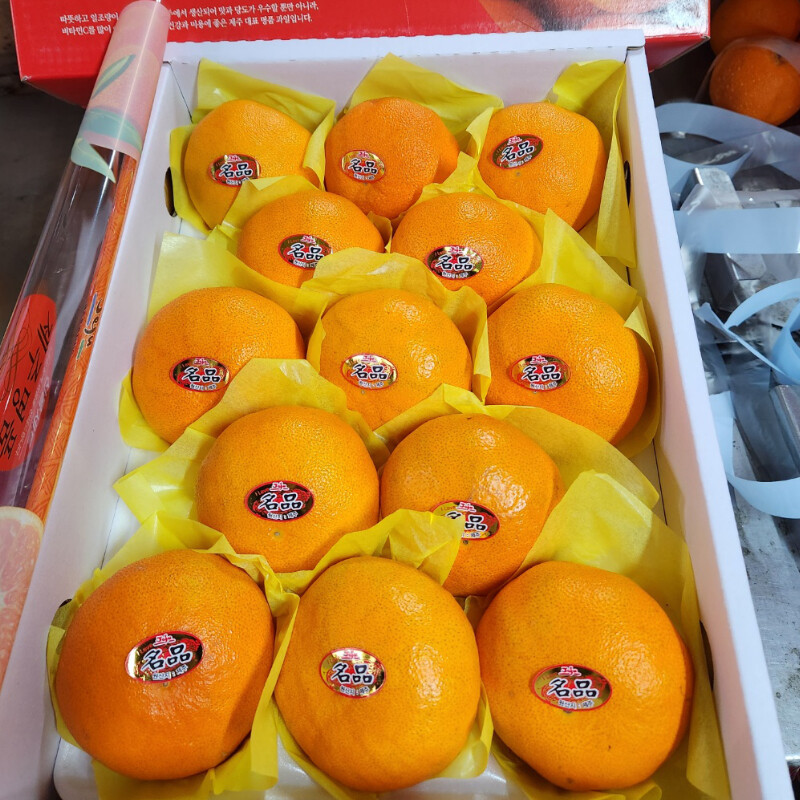 [네이버] 명절 선물용 제주도 레드향 3kg 36,500원 (택배비무료)_2.jpg