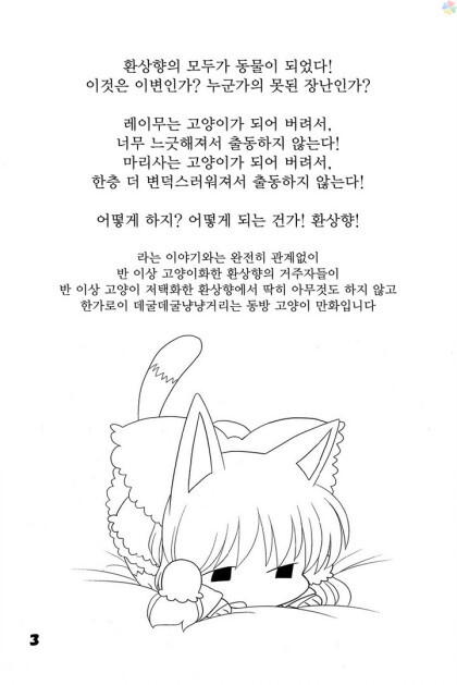 동방) 고양이 놀이_2.jpeg