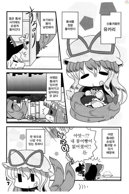 동방) 고양이 놀이_6.jpeg