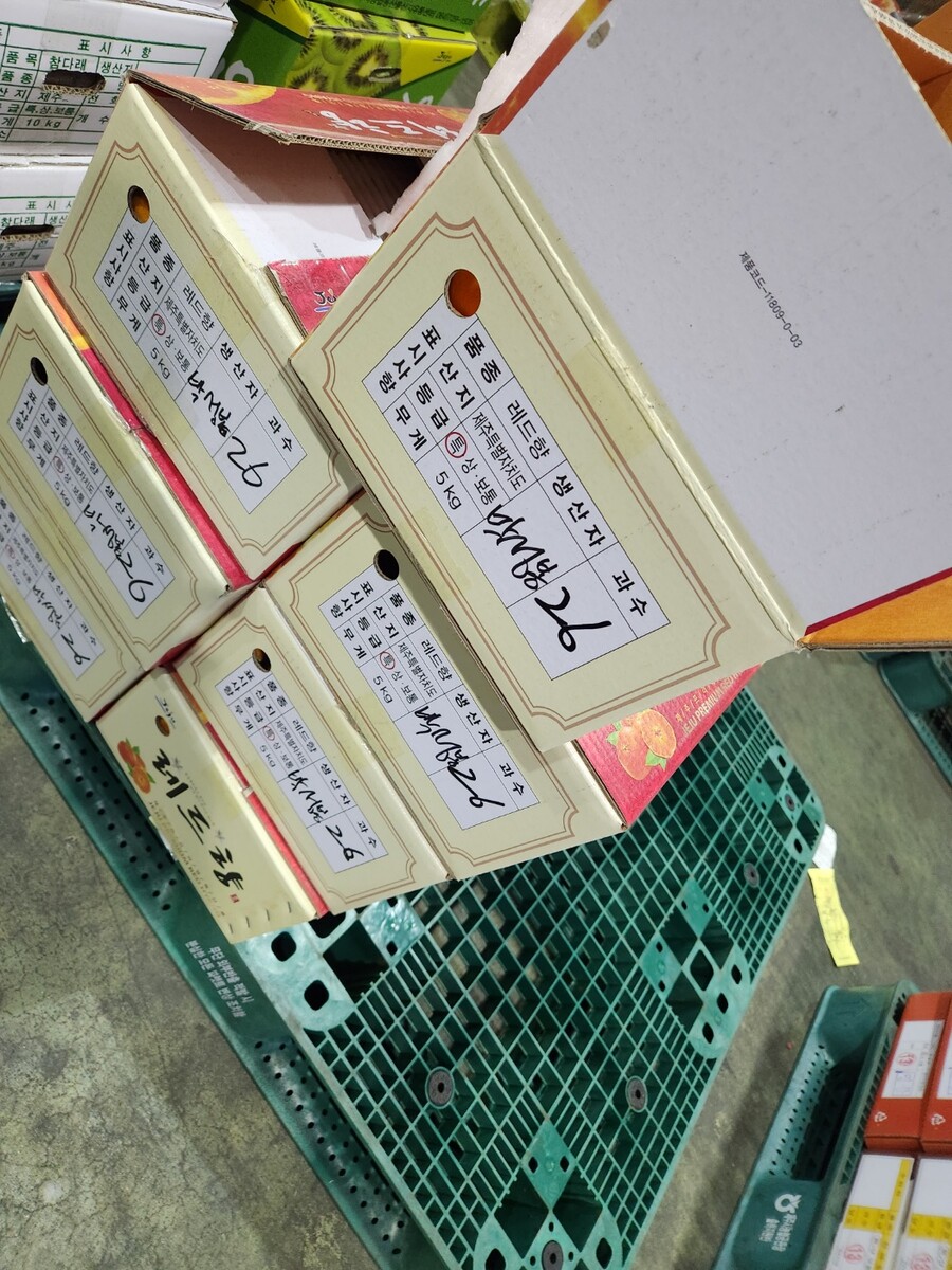 [네이버]상큼하고 향긋한 레드향 5kg 34,500(무료배송)_3.jpg