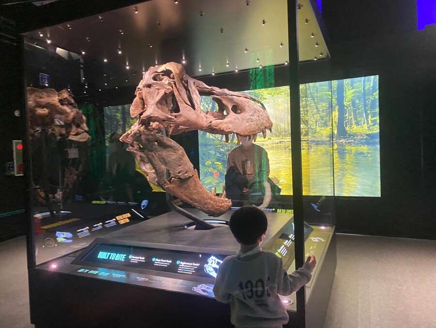 유게이 오늘 공룡뼈 보고 옴 (사진많음)_2.jpg