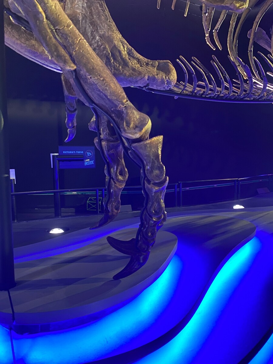 유게이 오늘 공룡뼈 보고 옴 (사진많음)_10.jpg