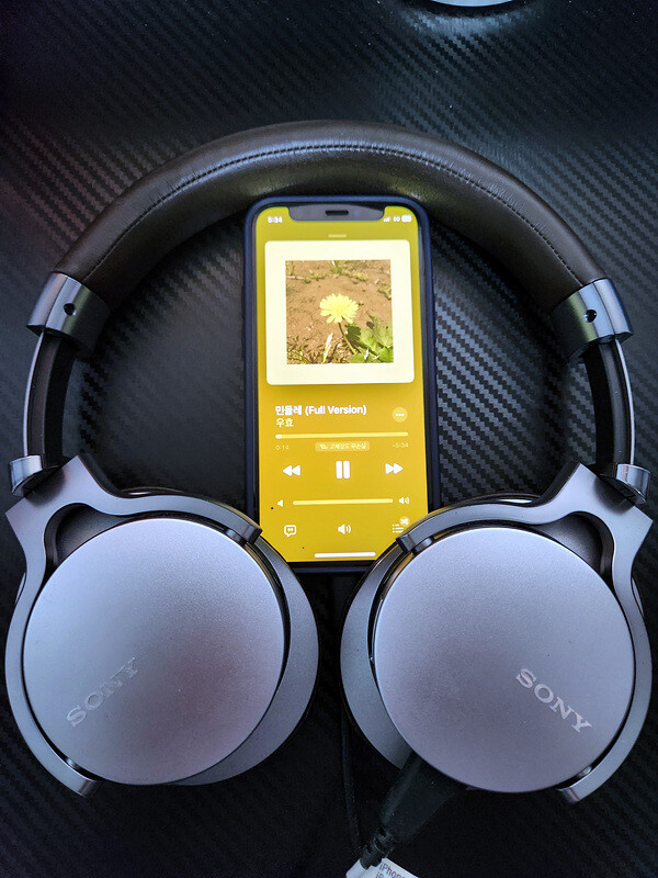 나의 골동품 (아이유가 가졌던 그것)_1.jpg