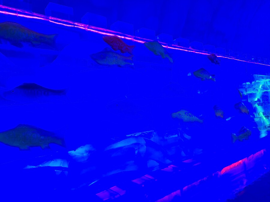 스압주의)국내 최대 얼음조각 전시회.jpg_5.jpg