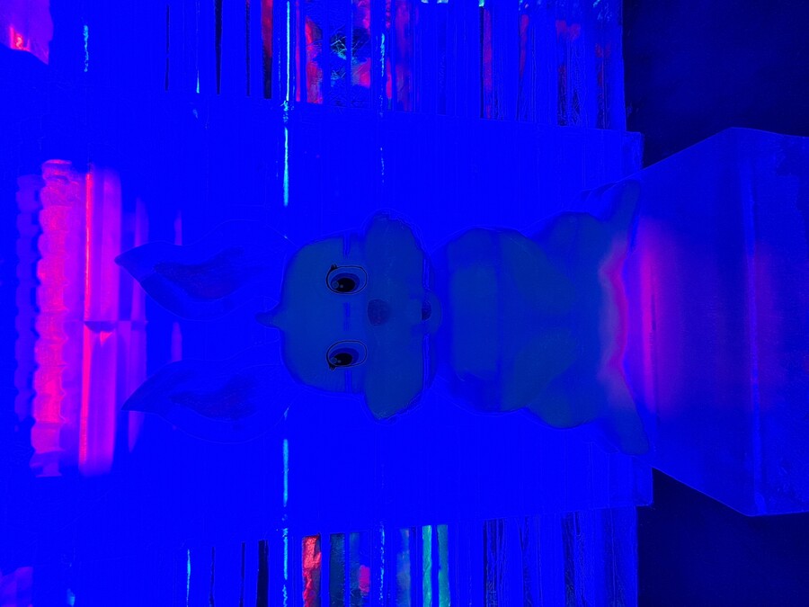 스압주의)국내 최대 얼음조각 전시회.jpg_22.jpg