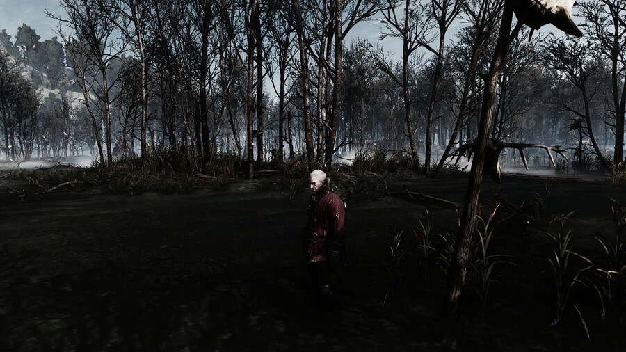 간만에 위쳐 스샷._9.jpg