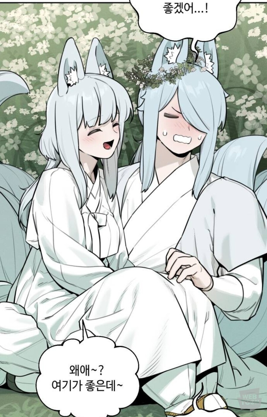 호랑이 들어와요)스포)호구미호 순애 미쳤다_1.jpg