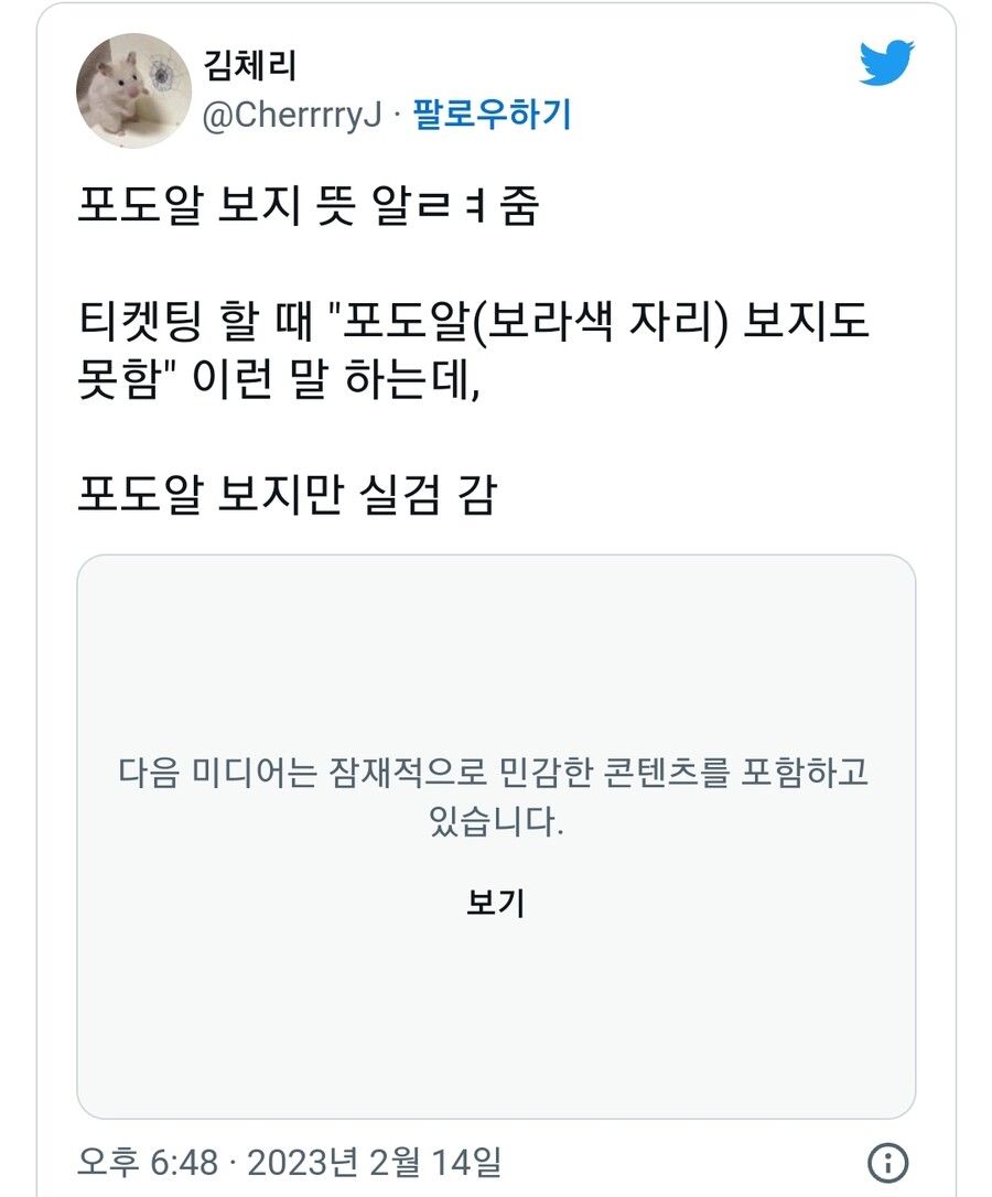 트위터 실트 1위였던 “포도알 보지”_2.jpg