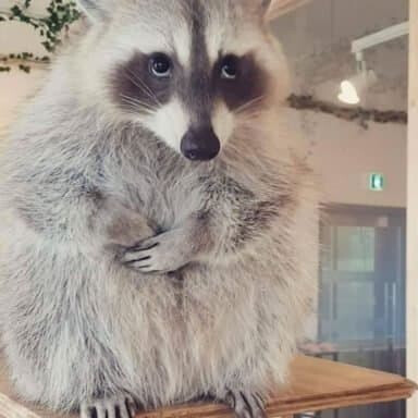 혐오)마따끄.... 또 난장판인가.. 질리지도 않아?_4.png