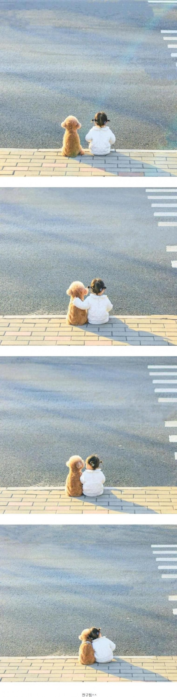 딸이 외로워 하는거 같아서 댕댕이 한 마리를 사줬다_1.jpg