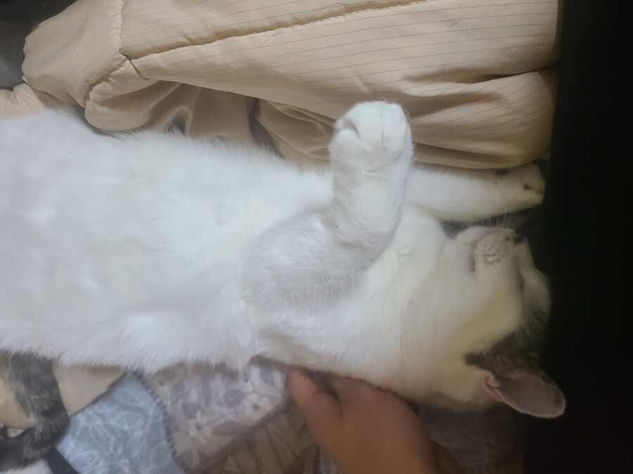 불법)마.약 그런거 왜하냐 ㅋㅋㅋ_1.jpg