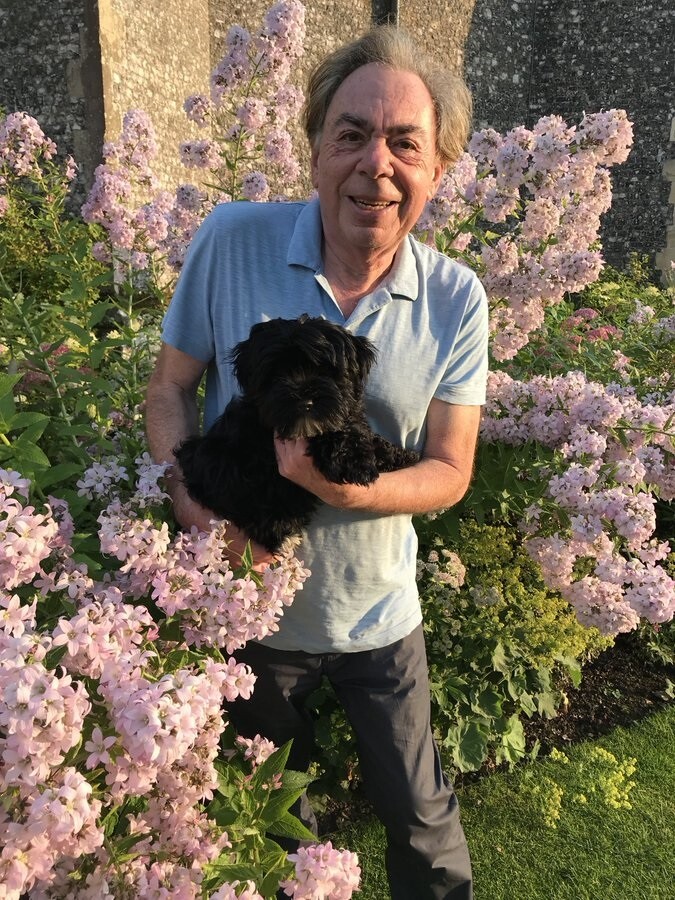 한 남자가 70세가 되어서 개를 키우겠다고 결심한 이유_8.jpg