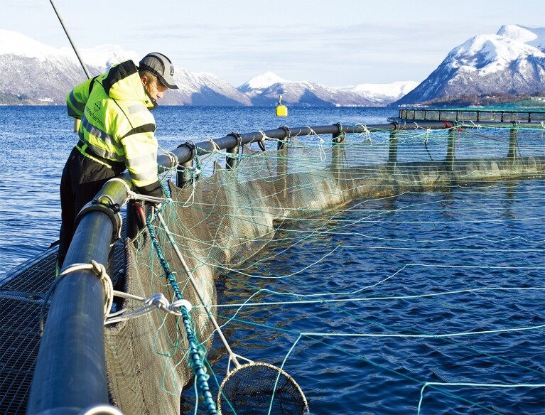약혐) 우리가 가끔 먹고있는 연어알의 효능에 대해서 알아보자_16.jpg