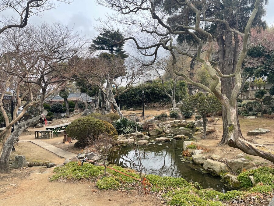 해남의 막걸리들_3.jpg