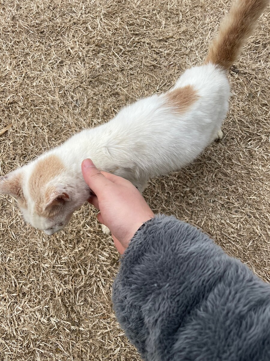 해남의 막걸리들_5.jpg