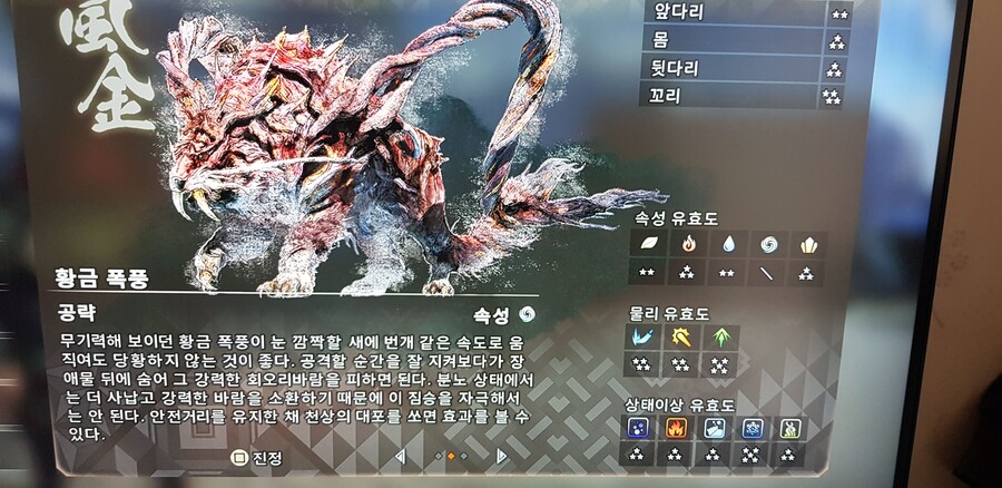 속성 아이템 보는 법 제대로 이해하고 있는 것 맞을까요_1.jpg