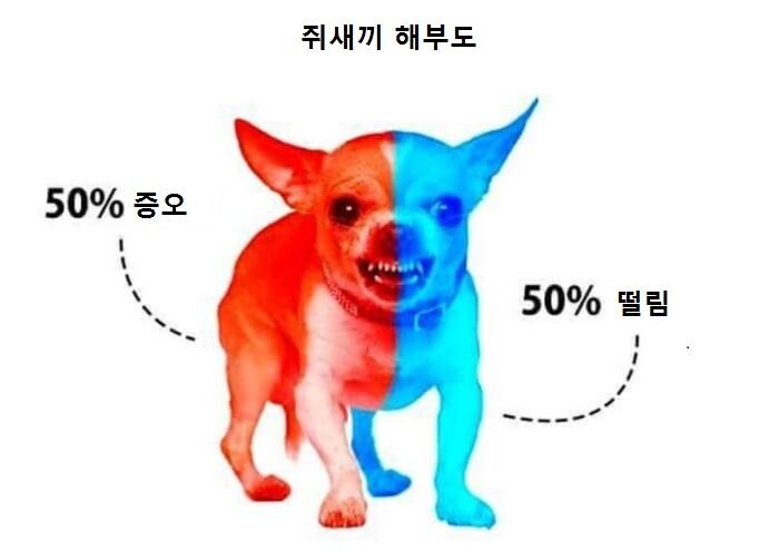 개와 늑대의 유전적 차이_3.jpeg