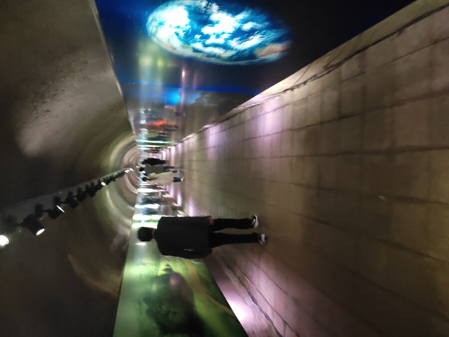 후쿠오카 야마구치 2_41.jpg