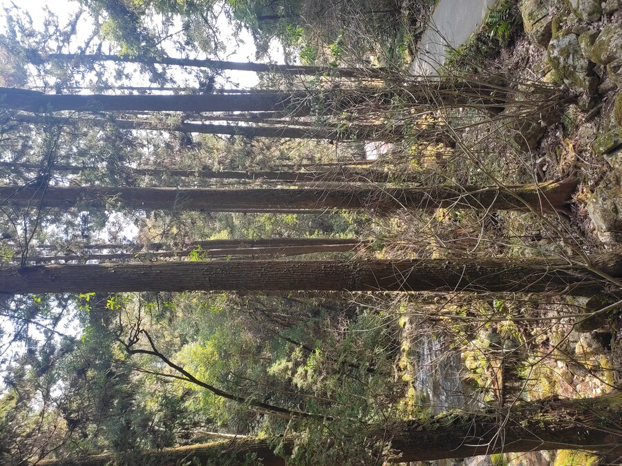 후쿠오카 야마구치 2_71.jpg