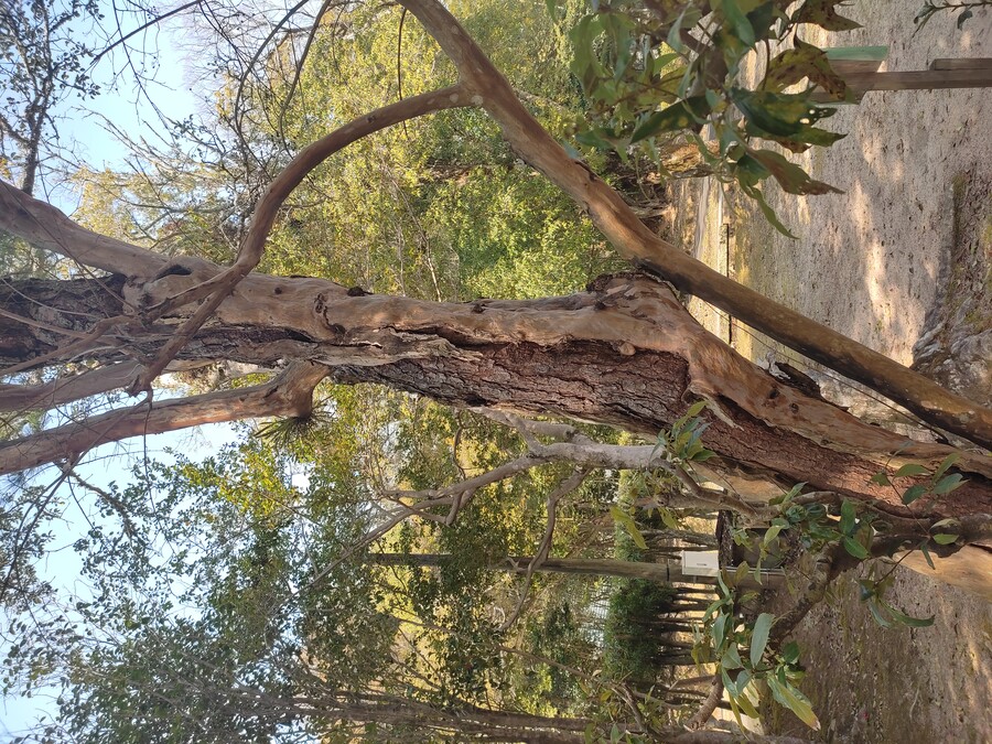 후쿠오카 야마구치 2_93.jpg