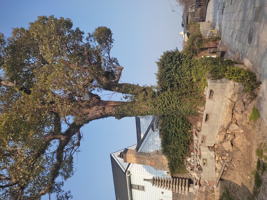 후쿠오카 야마구치 2_112.jpg