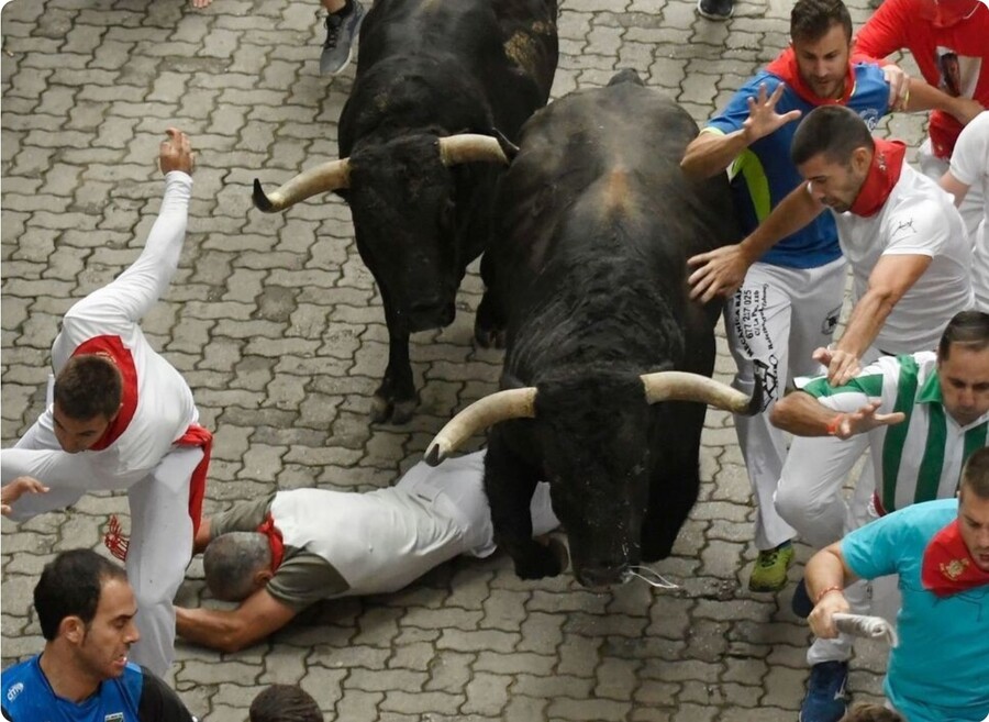 스페인 소몰이 축제 (산 페르민 축제) 유출 사진 봤었는데.._1.jpg