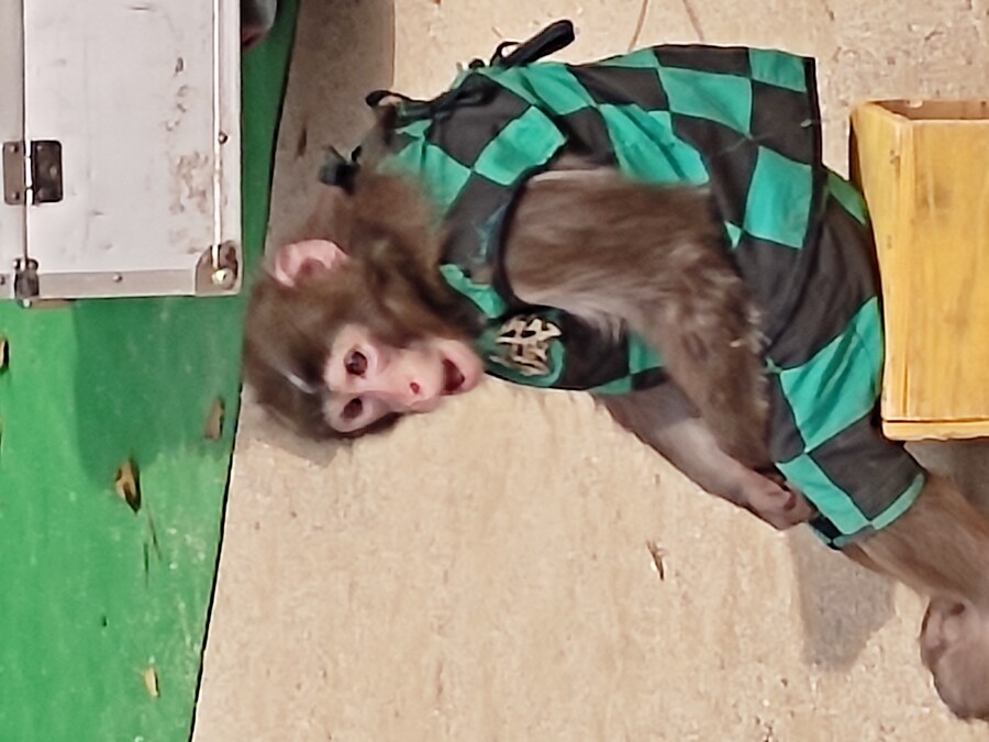 후쿠오카 야마구치 3_69.jpg