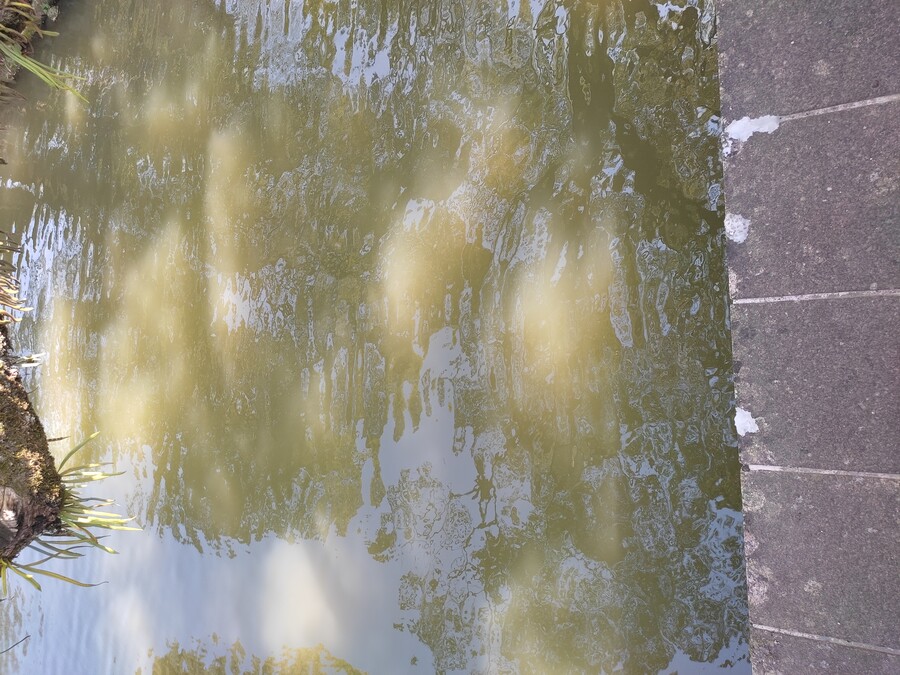 후쿠오카 야마구치 3_49.jpg