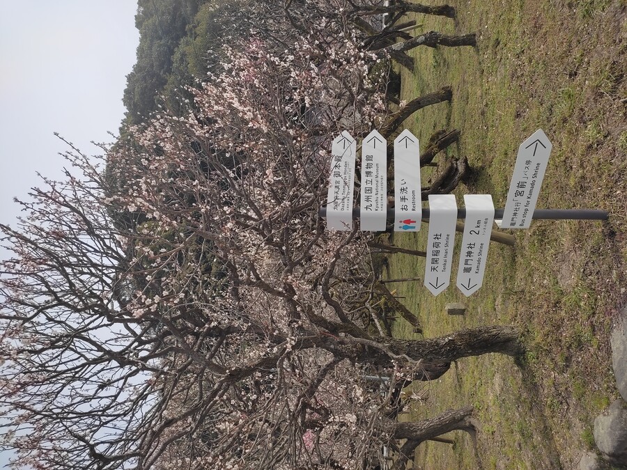 후쿠오카 야마구치 3_17.jpg