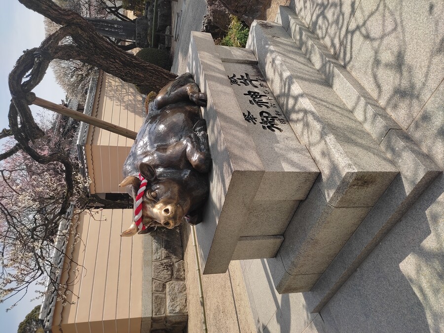 후쿠오카 야마구치 3_46.jpg