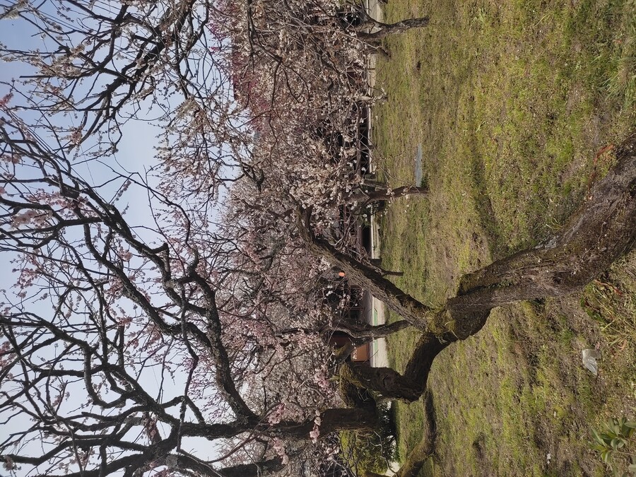 후쿠오카 야마구치 3_19.jpg