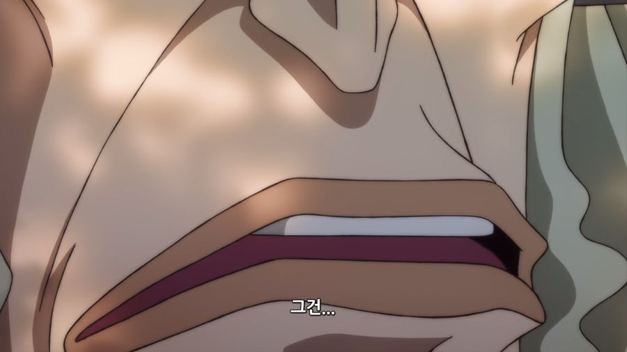 [원피스 필름 RED] 트리비아_24.png