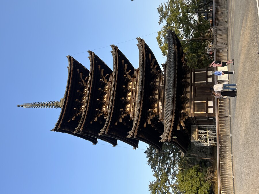 해외여행) 오늘은 나라 갔음_6.jpeg