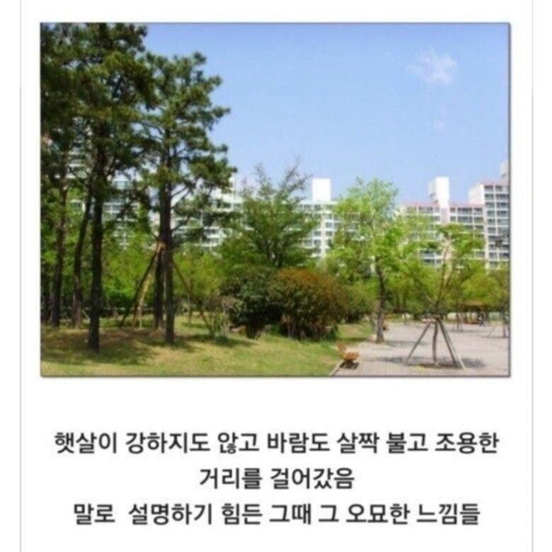 요즘 초등학생들은 모르는 토요일 학교생활_2.jpg