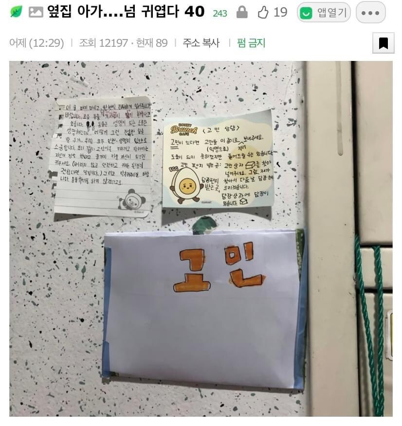 옆집 아가의 익명 고민 상담소_1.jpeg