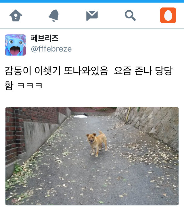 길에서 우리집 강아지 마주치는 만화.JPG_4.jpg