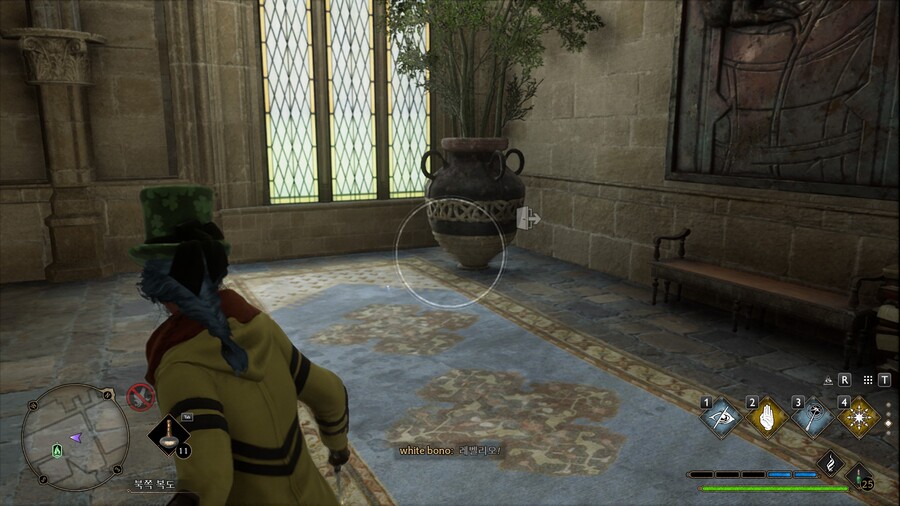 호그와트 레거시 필드 가이드 하나때문에 도전과제 안깨진다_2.jpg