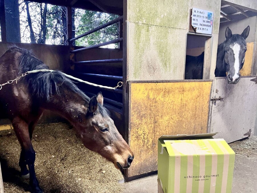 말딸) 하루 우라라 (원본) 근황_3.jpg
