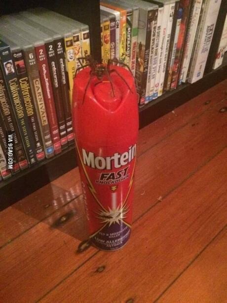 디아3)발매 초기 극악난이도에서 악사의 선택_1.jpg