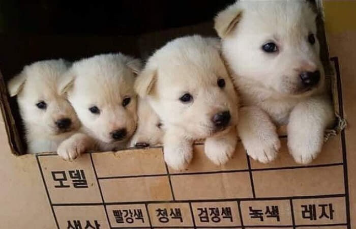 시고르자브종 볼시간임.gif_2.jpg